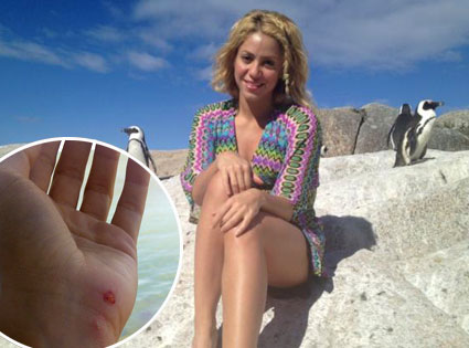 Shakira Shakira